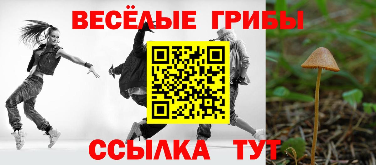 Владикавказ  Псилоцибиновые грибы Magic Shrooms  магазин продажи   Вход с VPN 