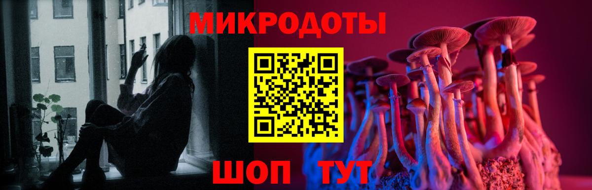 Галлюциногенные грибы мухоморы Владикавказ